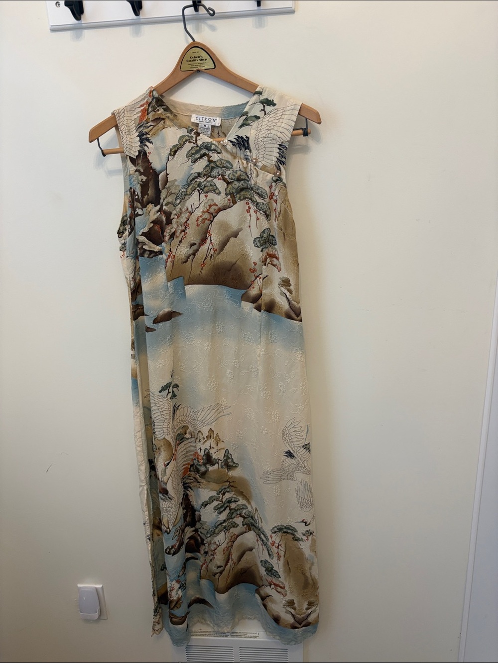 Citron Beige and Light Blue Printed Sleeveless Maxi Dress
